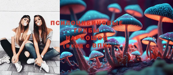 2c-b Алзамай