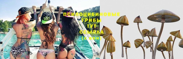 ПСИЛОЦИБИНОВЫЕ ГРИБЫ Ачинск