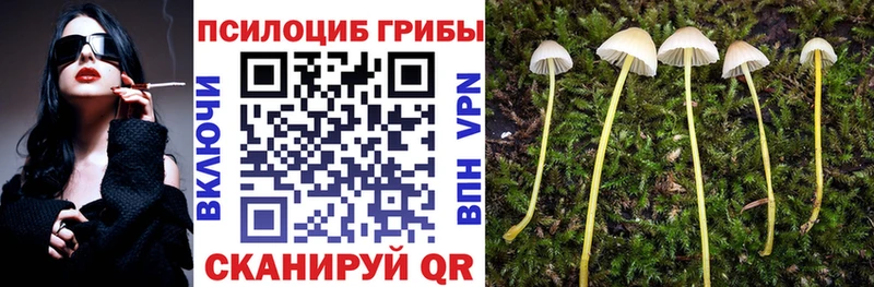 Псилоцибиновые грибы ЛСД  Ардон 